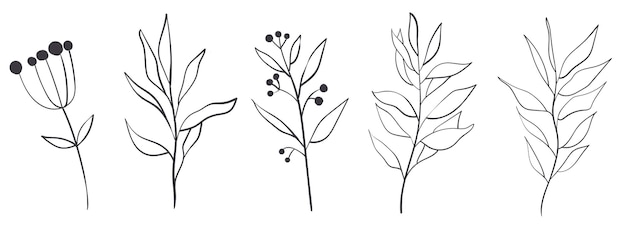 Boho branches line art set