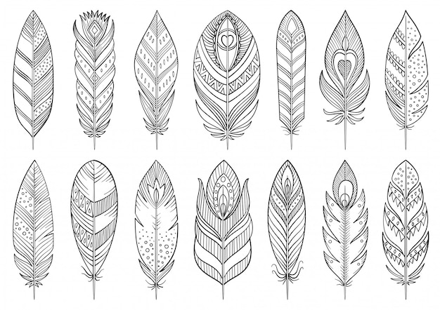 Boho feather hand drawn line set.