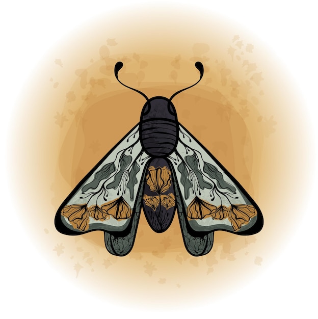 Boho floral butterfly moth insect gedetailleerde vectorillustratie 01