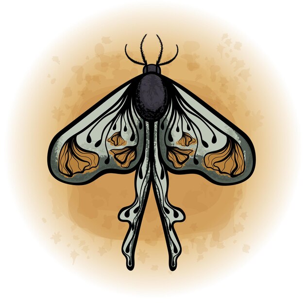 Boho Floral Butterfly Moth Insect Gedetailleerde vectorillustratie 16