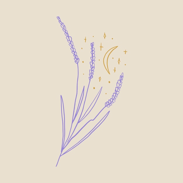 Boho minimalistic tiny lavender branch logo or label vector sketch illustration