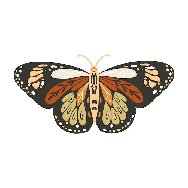 Vector boho vector butterfly