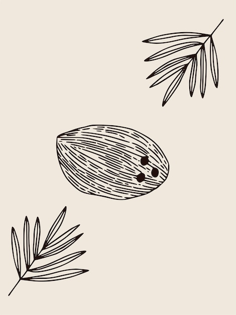 Векторный плакат Бохо с линейной иллюстрацией кокоса. Винтажный богемный плакат для домашнего интерьера