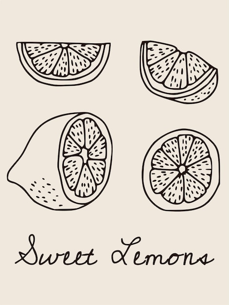 Boho vector poster with linear lemons illustration. Vintage bohemian poster for home interior