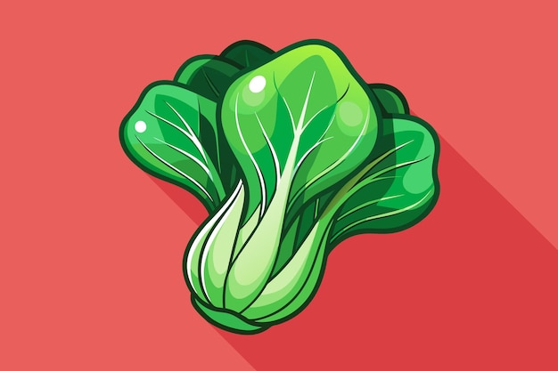 Vector bok choy vegetable background