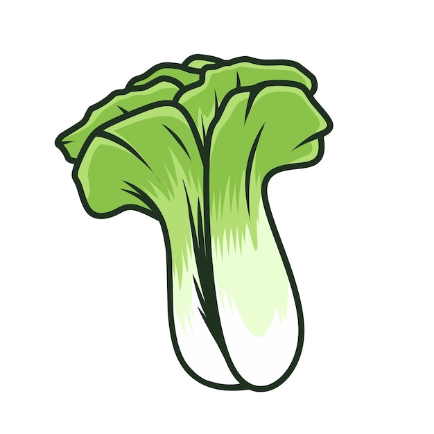 Bok choy vegetable vector design