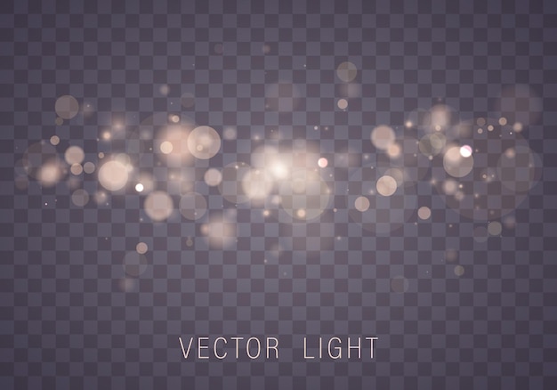 Bokeh effect.  Sparkling magical dust particles.