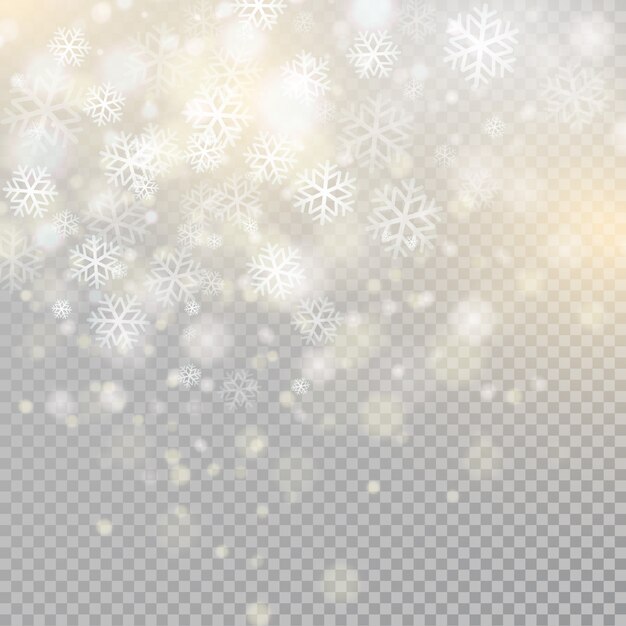 Bokeh light gray sparkles on transparency background glowing particles element for special effects.