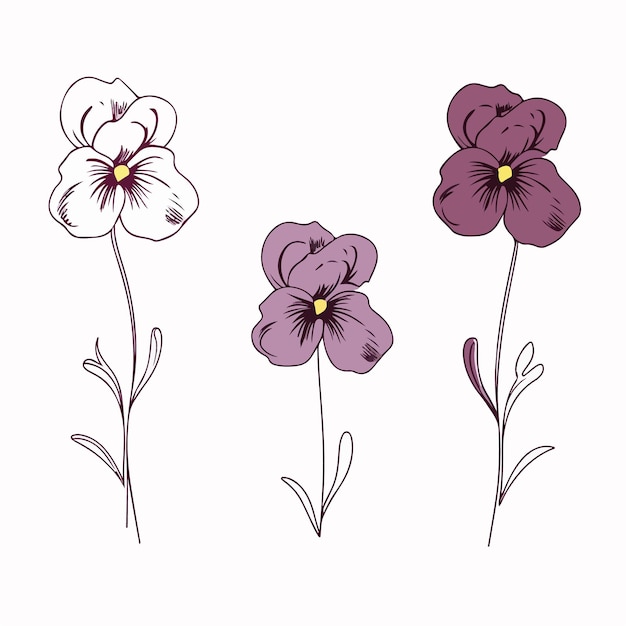 bold outline of a pansy rendered in vector format
