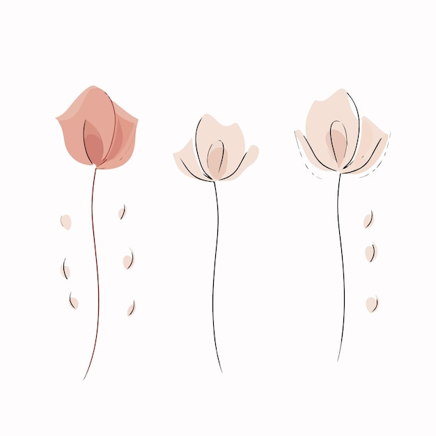 Vector bold vector illustration of a captivating popy blossom