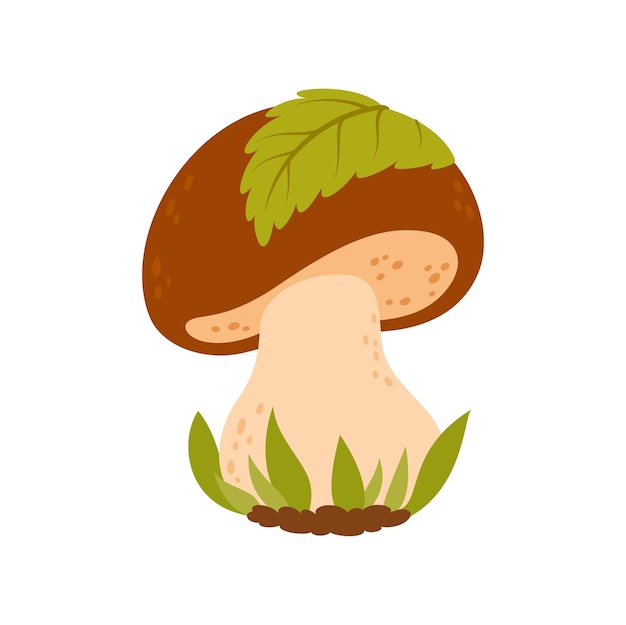 Boletus edible mushroom with cap and thick leg