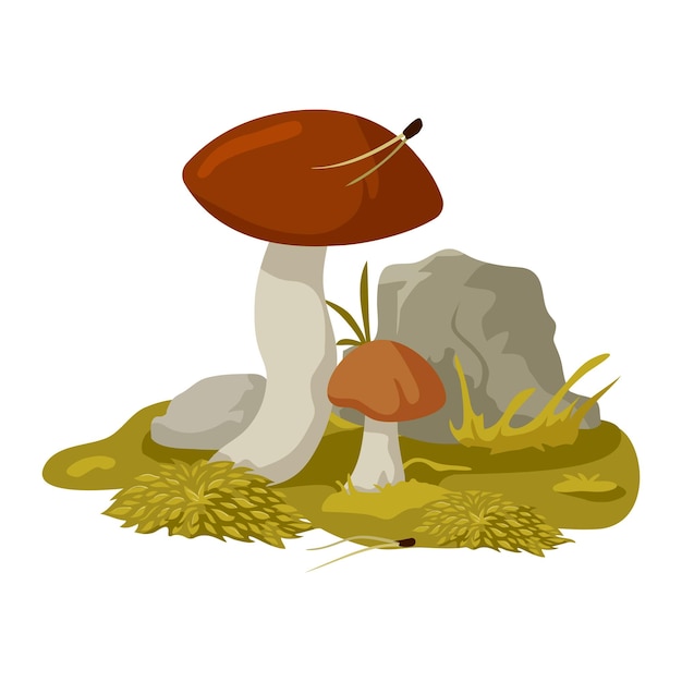 Boletus wild mushrooms in cartoon style