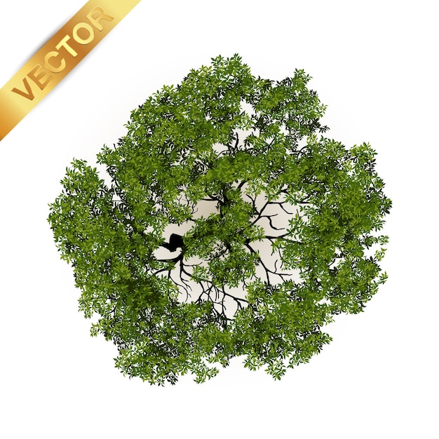 Bomen bovenaanzicht voor landschap vectorillustratie.