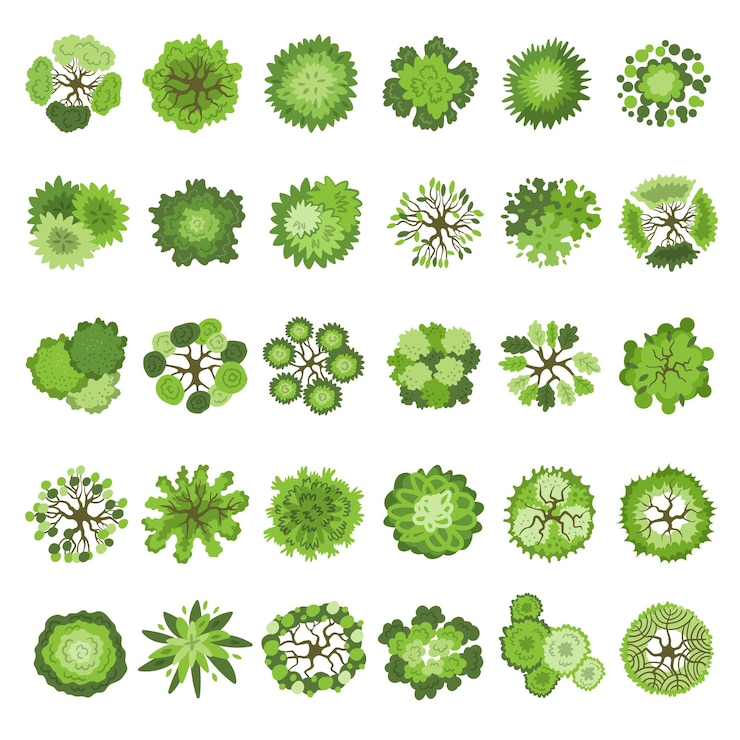 Vector bomen collectie kaart top view planten park tuin set recente vector illustratie set