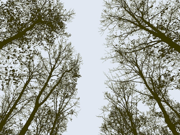 Vector bomen in het herfstbos