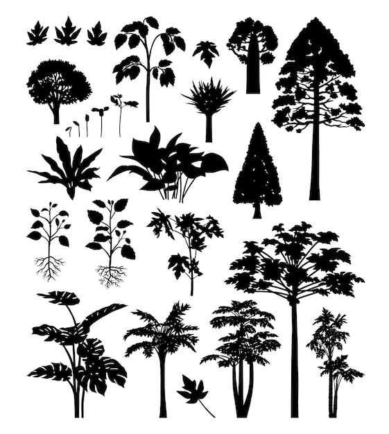 Bomen palm planten silhouetten voor teken symbool of pictogram