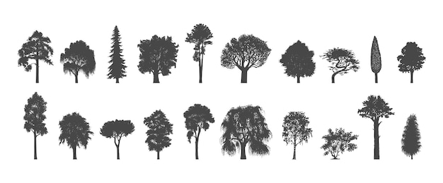 Bomen silhouetten hand getekende afbeeldingen in vector