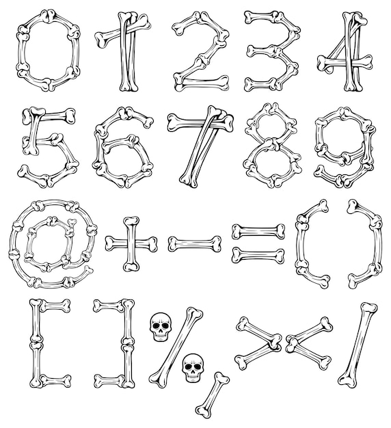 Vector bone font alphabet letters