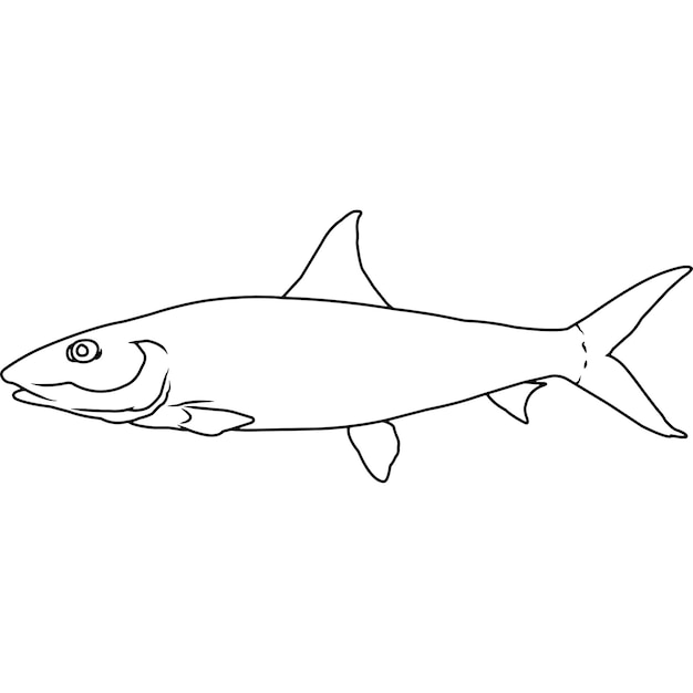 Bonefish hand geschetst hand getrokken vector clipart