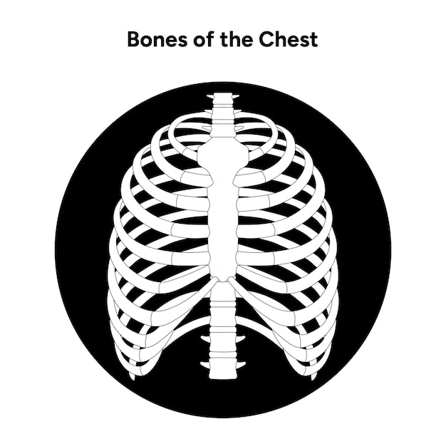 Vector bones of the chest icon logo