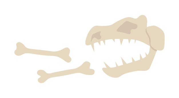 Vector bones of dinosaur