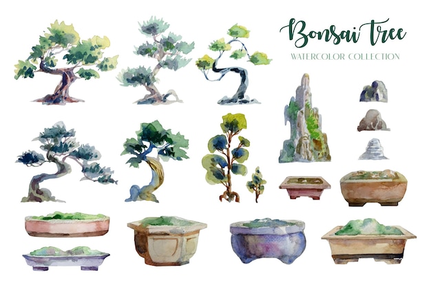 Bonsai Boom en pot aquarel schilderij geïsoleerde collectie.