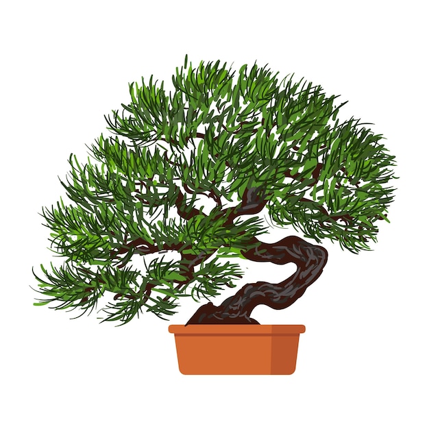 Bonsai albero nano in vaso isolato su sfondo bianco