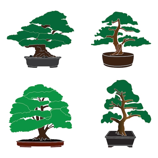 Vector bonsai icon vector illustration design