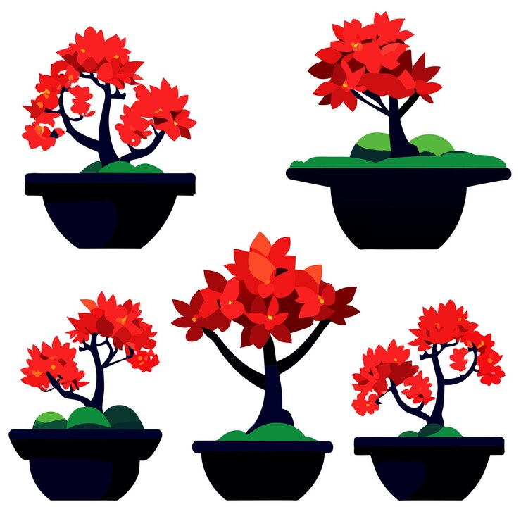 Vector bonsai japanese's trees grown in containers vector illustration