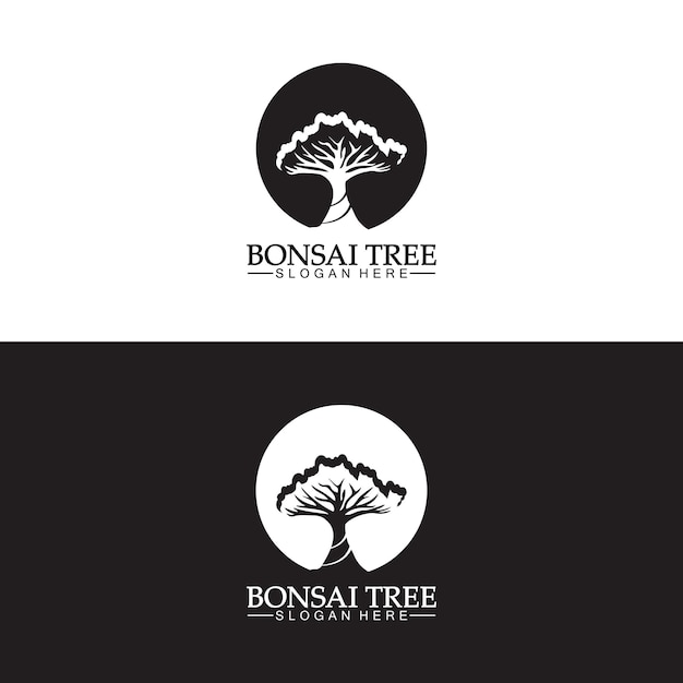 bonsai logo ontwerp silhouet pictogram vector