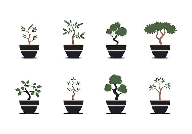 Bonsai in pots vector set in flat cartoon style