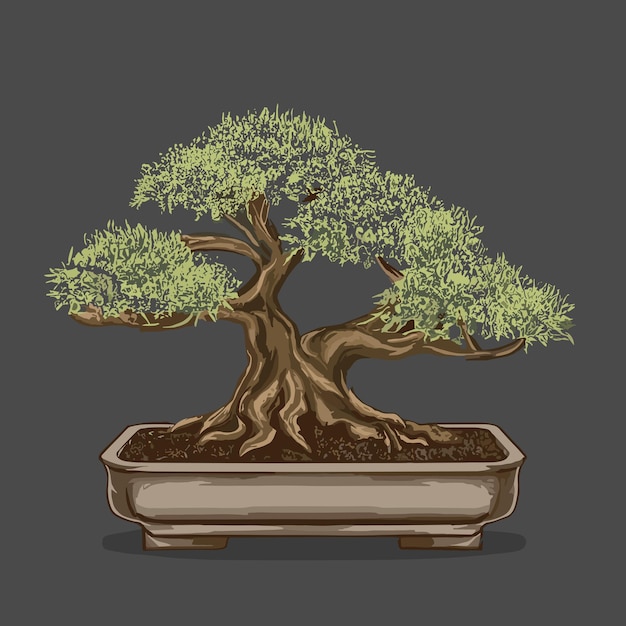 Vector bonsai tree illustration