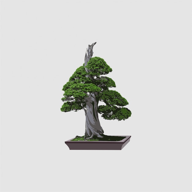 Vettore bonsai vettoriale