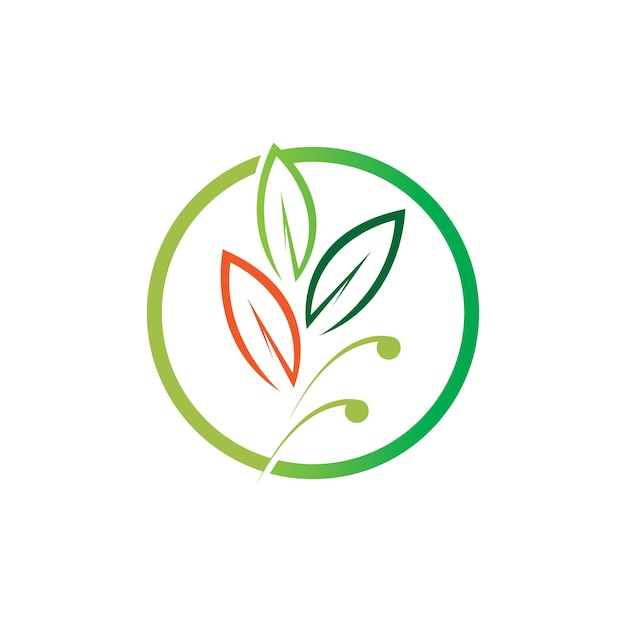 Boom blad vector logo ontwerp milieuvriendelijk concept