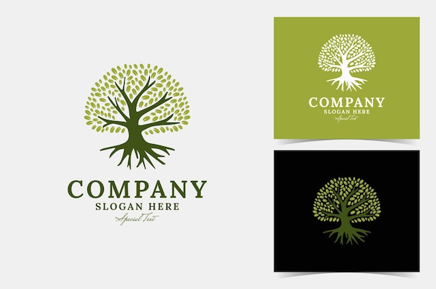 Boom logo ontwerp vector perfect voor bedrijfslogo of branding