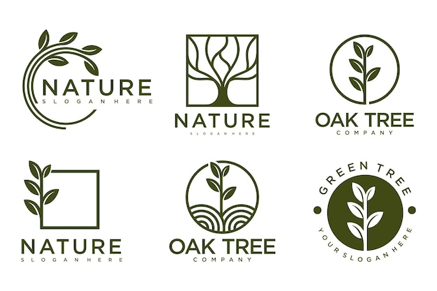 Vector boom logo pictogram decorontwerp tuinplant natuurlijke symbolen templatevector illustratie