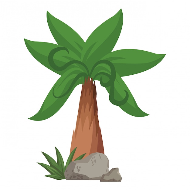 Boom palm cartoon