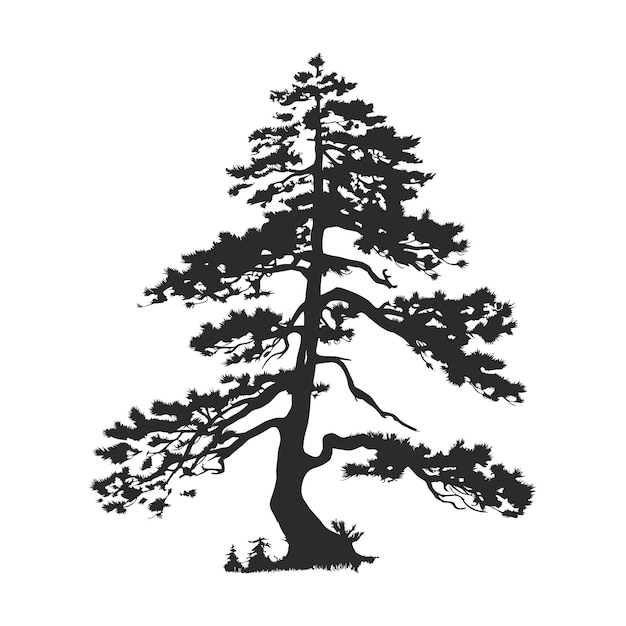 boom pijnboom silhouet tattoo logo cipres groenblijvend cederbos hout vector