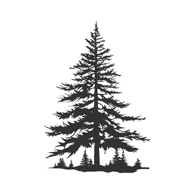 boom pijnboom silhouet tattoo logo cipres groenblijvend cederbos hout vector