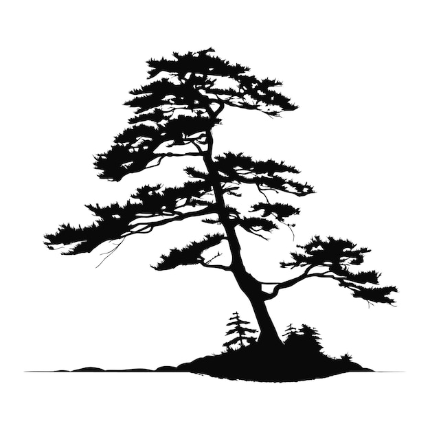 boom silhouet ceder vector tattoo logo cipres sjabloonontwerp boom pijnboom silhouet vector