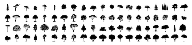 Boom silhouetten Evergreen bos sparren en sparren zwarte vormen wilde natuur bomen sjablonen Vector illustratie