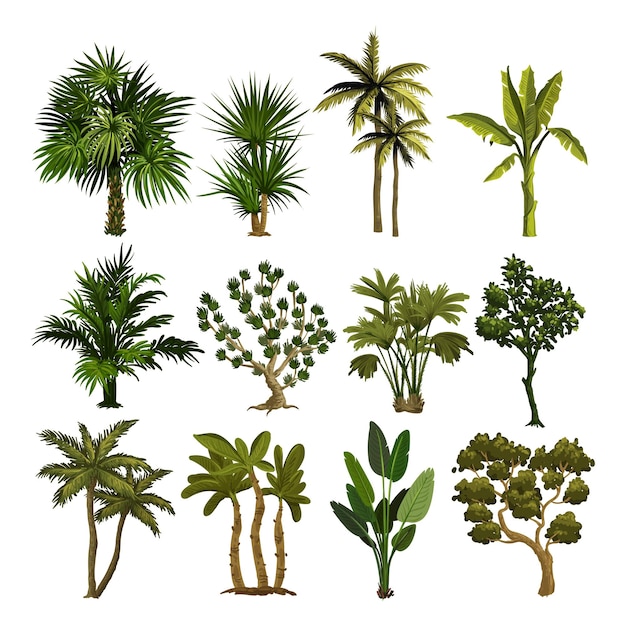 Boomgroene met de hand getekende vectorillustratie