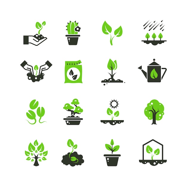 Boomspruit en planten pictogrammen. Zaailing en hand aanplant pictogrammen