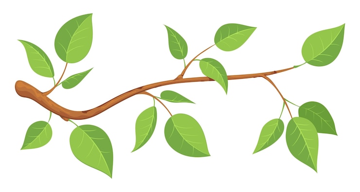 Vector boomtak met groene bladeren cartoon natuur icon