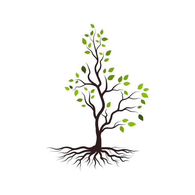 Boomtak vector ilustration ontwerp