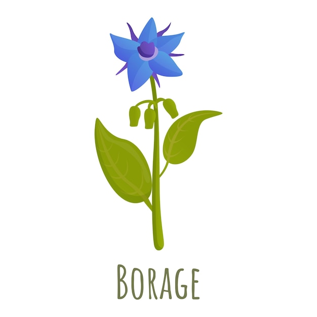 Borage bloem icoon Cartoon van borage bloem vector icoon voor webontwerp geïsoleerd op witte achtergrond