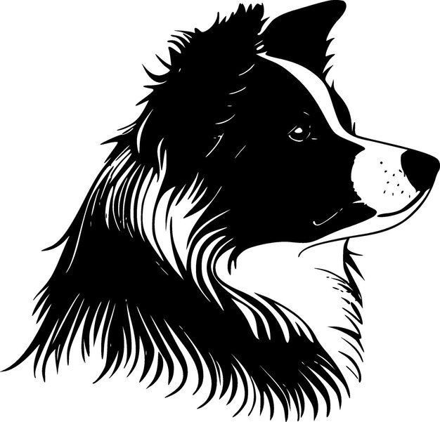 Border Collie Black and White Isolated Icon Vector illustration