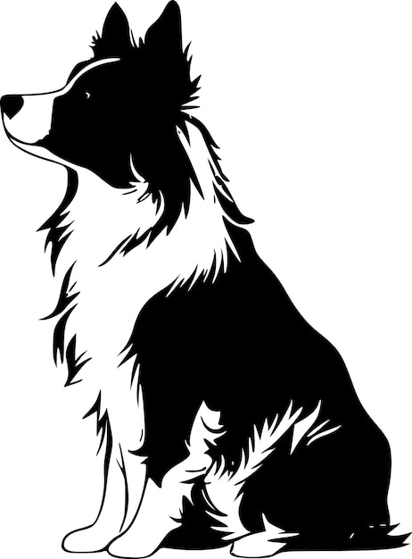 Border collie black and white isolated icon vector illustration