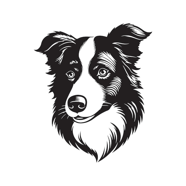 Border collie hond vector concept digitale kunst hand getrokken illustratie