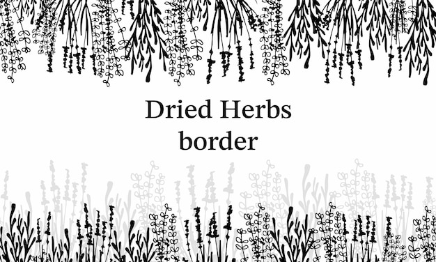 Пограничные сухие травы, сушеные цветы, натуральная медицина, черно-белая векторная иллюстрация